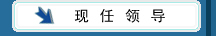 �����쵼