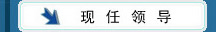 �����쵼