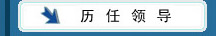 �����쵼